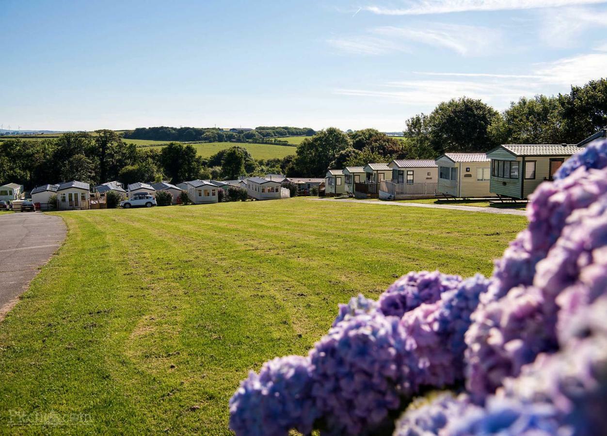 Trevella Holiday Park New Quay Extérieur photo